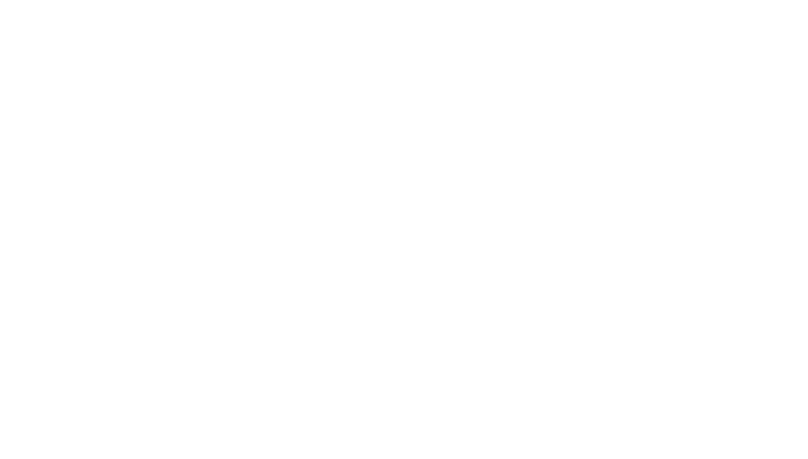 Nahuus-Logo